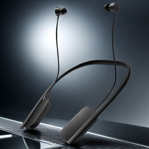 Translation Headphones